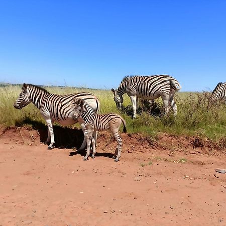 Sedgefield Lodge Witbank Ngoại thất bức ảnh