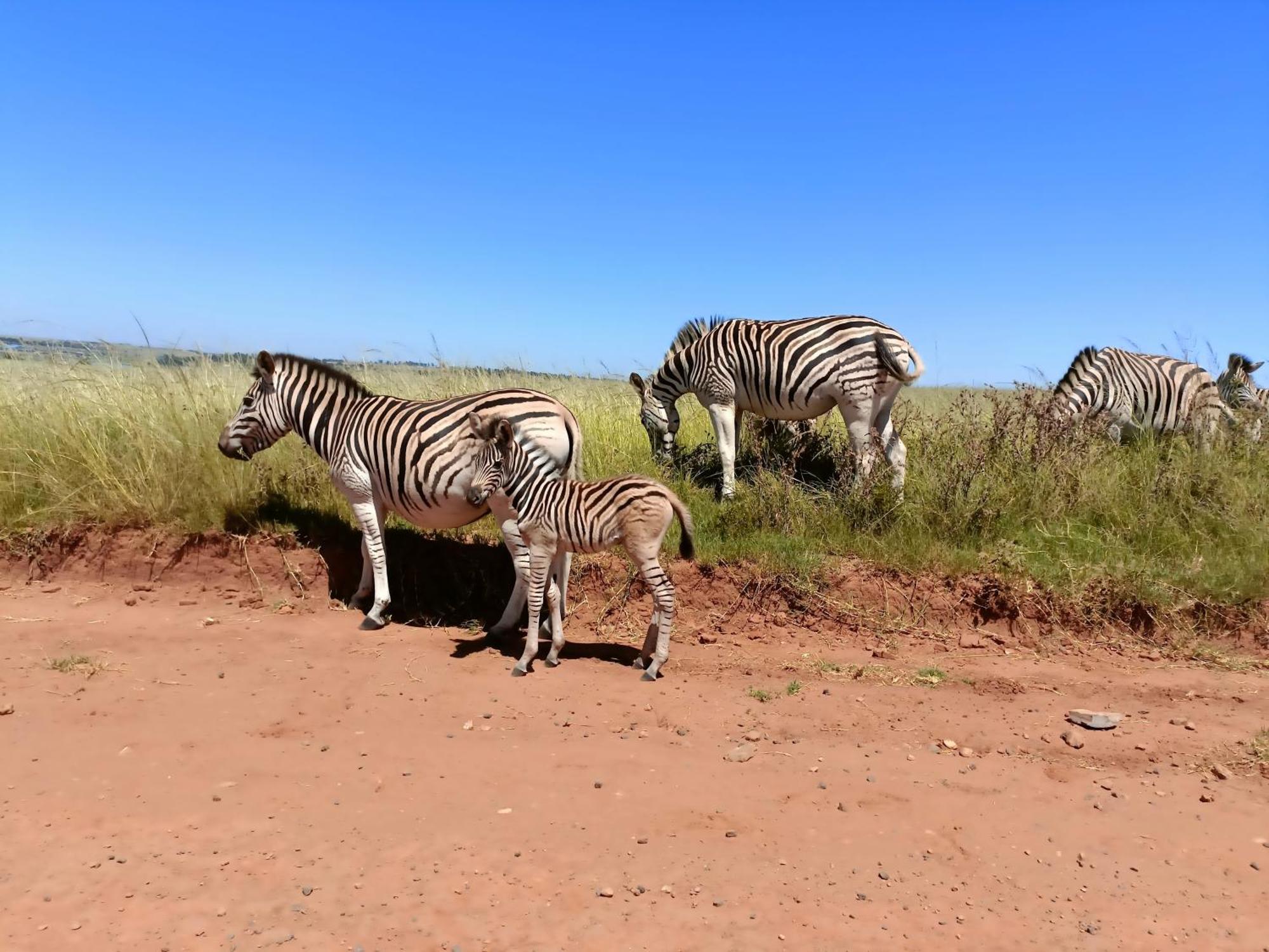 Sedgefield Lodge Witbank Ngoại thất bức ảnh